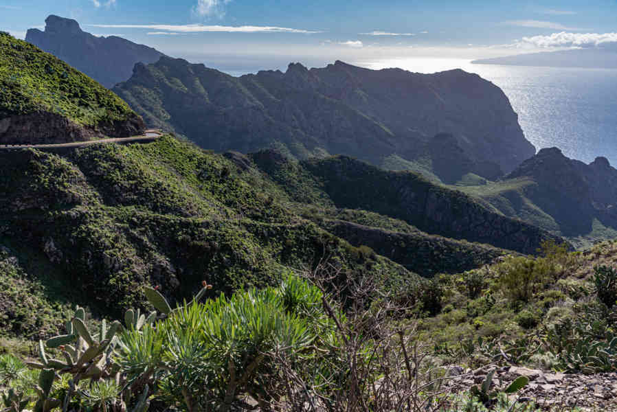 Tenerife 272 - parque rural de Teno.jpg